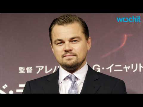 VIDEO : Leonardo DiCaprio & Nina Agdal Spotted Getting Brunch