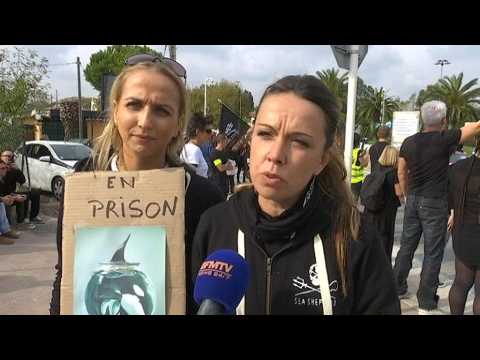 video rencontre avec les dauphins marineland