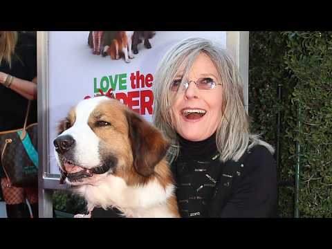 VIDEO : Diane Keaton's Furry Red Carpet Date