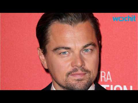 VIDEO : Can Leonardo DiCaprio Finally Win an Oscar?