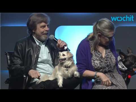 VIDEO : Mark Hamill Tribute To Carrie Fisher