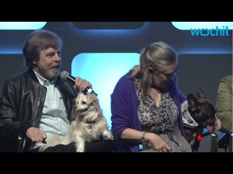 VIDEO : Where Will Carrie Fisher's Dog Go?