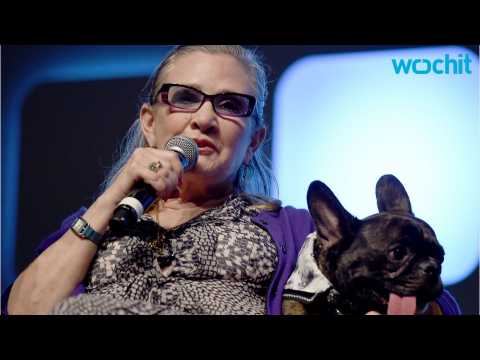 VIDEO : Carrie Fisher's Dog Gary Will Live With Daughter Billie Lourd