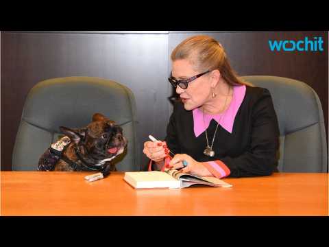VIDEO : Carrie Fisher's Dog Sends Heartbreaking Tweets