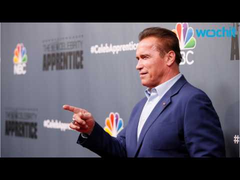 VIDEO : Arnold Schwarzenegger Plans New Spin On 'Apprentice'