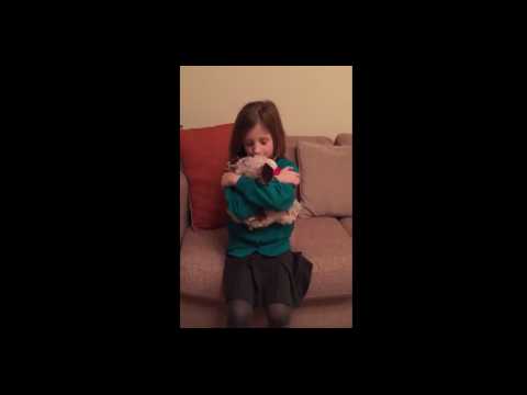 VIDEO : Sa peluche se transforme en chien... L'incroyable cadeau de cette petite fille