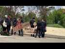 Manifestation Jean Vigo