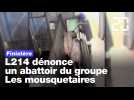 Finistère : L214 dénonce les pratiques d'un abattoir du groupe Les mousquetaires