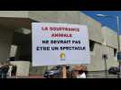 Béziers : manifestation des anti-taurins devant le tribunal