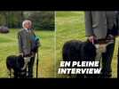 Le chien du président irlandais ne voulait pas le laisser finir son interview