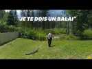 Aux États-Unis, ces officiers chassent un alligator avec un balai