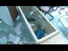 Mantes-la-Ville : un médecin jette l'éponge après le saccage de son cabinet