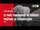 VIDÉO. Le parc zoologique de Jurques dans le Calvados prépare sa réouverture