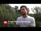 Louis Vannucci à la conquête du Mare a Mare centre