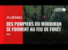 VIDÉO. Ploërmel : des pompiers du Morbihan se forment aux feux de forêts