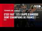 VIDÉO. Les Loups d'Angers sacrés champions de France de tennis de table : les images de l'exploit
