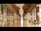 Château de Versailles: derniers préparatifs avant la 
