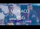 VIDÉO. Coupe de France. Monaco - PSG : la finale en chiffres