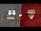 LOUVAIN - ANVERS ( EMBL Highlights)