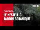 Le Kestellic, Plouguiel