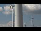 Energie: près du massif de la Sainte-Victoire, un parc éolien controversé