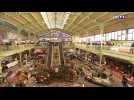 Votre plus beau marché : le marché des Halles des Sables-d'Olonne, la mer en héritage