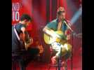 Flo Delavega - Canto Lunero (Live) - Le Grand Studio RTL