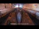 Le sous-marin musée Espadon se refait une beauté à Saint-Nazaire