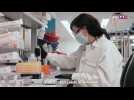 Dans le secret des laboratoires de Moderna