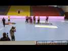 Handball. Nantes crée l'exploit et se qualifie pour la finale européenne