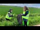 Canton de Longuenesse : les candidats écologistes font campagne en ramassant des déchets