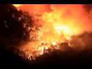Turquie : des incendies historiques ravagent le sud du pays