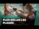 Pendant que les vacanciers profitent de la plage à Marseille, ces bénévoles les nettoient