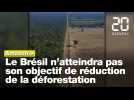 Amazonie : Objectif manqué pour le Brésil, la déforestation n'a pas diminué d'au moins 10 % l'année passée