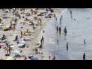 A Marseille, des bénévoles nettoient les plages