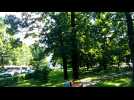 Test subtitle 1 03/08