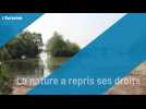 Environnement métamorphosé par le lac