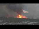 Grèce: feu de forêt près d'Athènes, le Premier ministre sur les lieux