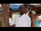 Burkina Faso : l'inquiétant recrutement des enfants par les jihadistes