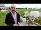 La Bleue Mixte, une race bien de chez nous, avec Vincent Vandromme