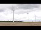 Éoliennes : Un vent de discorde au Mémorial de Villers-Bretonneux