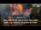 Var : un important incendie force l'évacuation de milliers de personnes