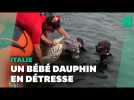 En Italie, des garde côtes sauvent un bébé dauphin pris au piège dans un filet