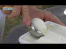 VIDEO. Découvrez la glace au haricot de Castelnaudary