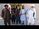 Les Talibans s'emparent d'une dixième capitale provinciale, Ghazni