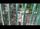 Refuge animaux