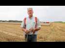 Fauches tardives du blé, un agriculteur dresse le constat de la moisson 2021