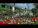 Jardin de Monet à Giverny : de la vase à l'éblouissement