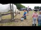 Caestre : L'agriculture en fête avec Terre en folie