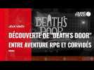 VIDÉO. Découverte du jeu vidéo « Death's Door », entre aventure, RPG et corvidés